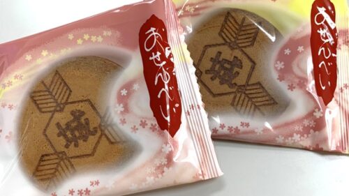 城南中学校3年生職場体験